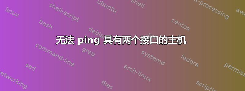 无法 ping 具有两个接口的主机