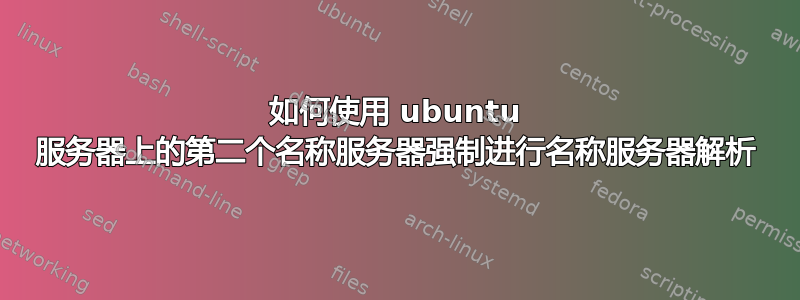 如何使用 ubuntu 服务器上的第二个名称服务器强制进行名称服务器解析