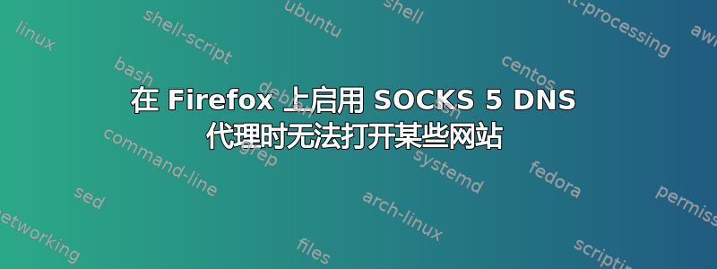 在 Firefox 上启用 SOCKS 5 DNS 代理时无法打开某些网站