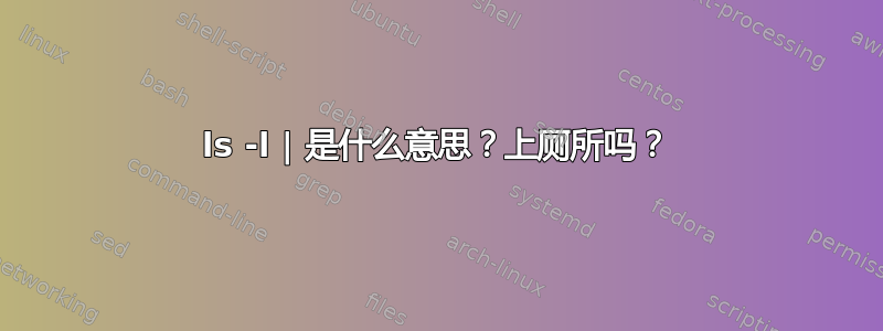 ls -l | 是什么意思？上厕所吗？