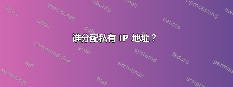 谁分配私有 IP 地址？