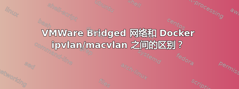 VMWare Bridged 网络和 Docker ipvlan/macvlan 之间的区别？