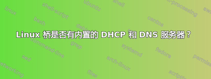 Linux 桥是否有内置的 DHCP 和 DNS 服务器？