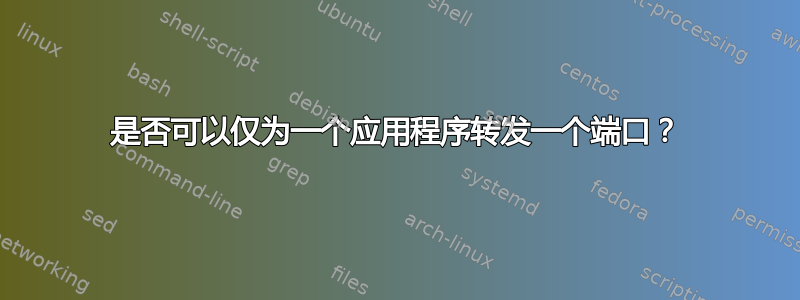 是否可以仅为一个应用程序转发一个端口？