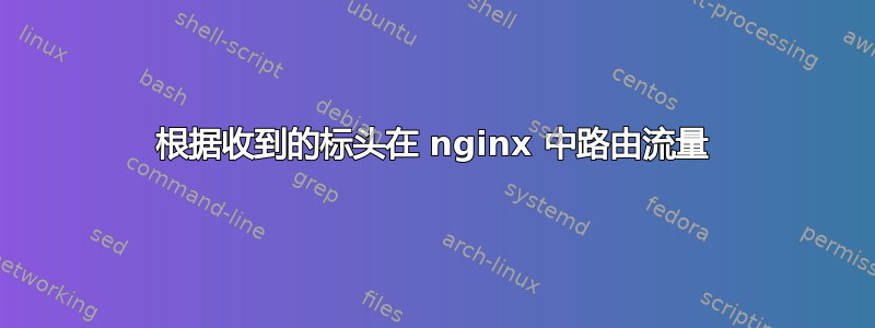 根据收到的标头在 nginx 中路由流量