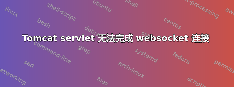 Tomcat servlet 无法完成 websocket 连接