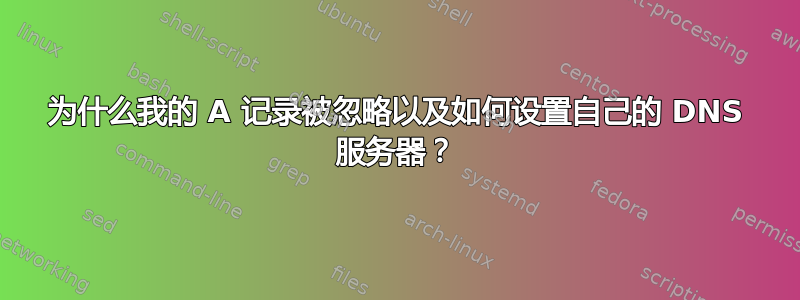 为什么我的 A 记录被忽略以及如何设置自己的 DNS 服务器？