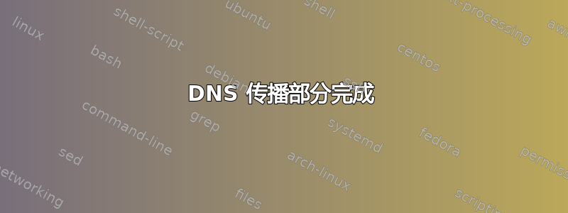 DNS 传播部分完成