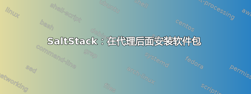 SaltStack：在代理后面安装软件包