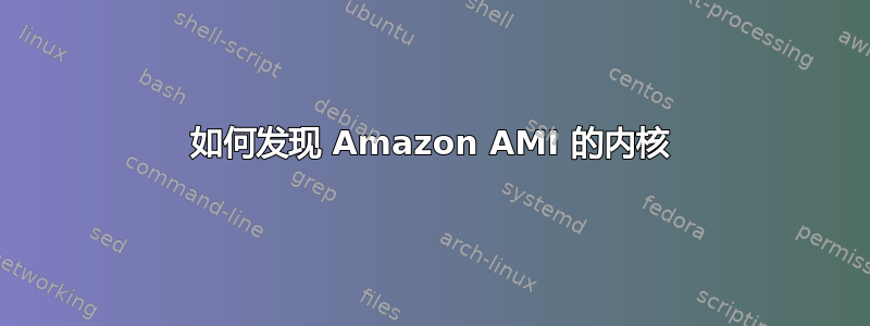 如何发现 Amazon AMI 的内核