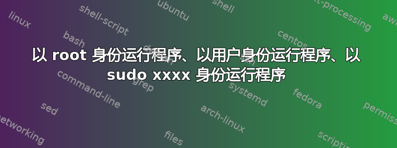 以 root 身份运行程序、以用户身份运行程序、以 sudo xxxx 身份运行程序