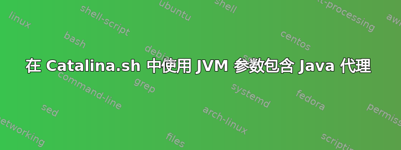 在 Catalina.sh 中使用 JVM 参数包含 Java 代理