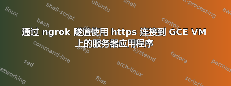 通过 ngrok 隧道使用 https 连接到 GCE VM 上的服务器应用程序