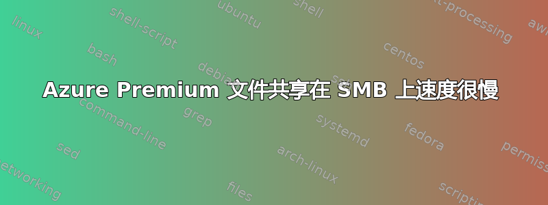 Azure Premium 文件共享在 SMB 上速度很慢