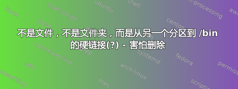 不是文件，不是文件夹，而是从另一个分区到 /bin 的硬链接(?) - 害怕删除