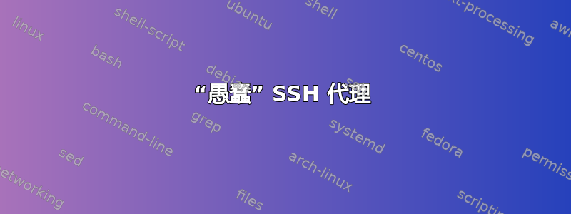 “愚蠢” SSH 代理