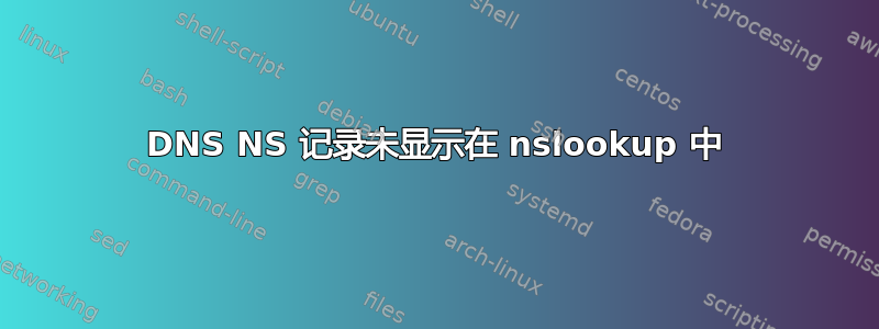 DNS NS 记录未显示在 nslookup 中