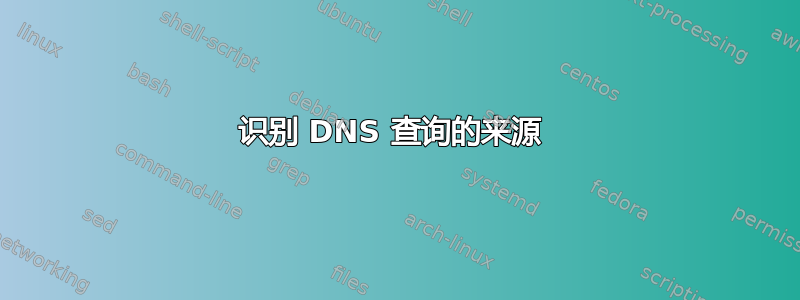 识别 DNS​​ 查询的来源 