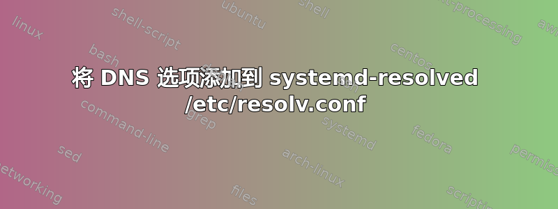 将 DNS 选项添加到 systemd-resolved /etc/resolv.conf