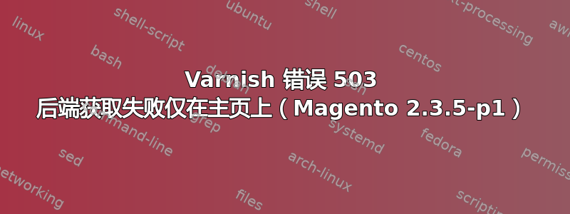 Varnish 错误 503 后端获取失败仅在主页上（Magento 2.3.5-p1）