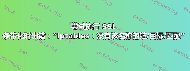 尝试执行 SSL 条带化时出错：“iptables：没有该名称的链/目标/匹配”