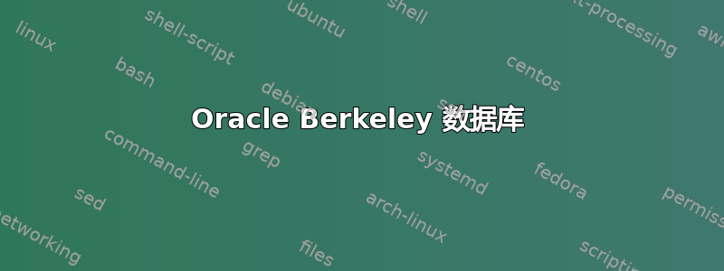 Oracle Berkeley 数据库