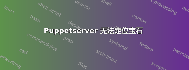 Puppetserver 无法定位宝石