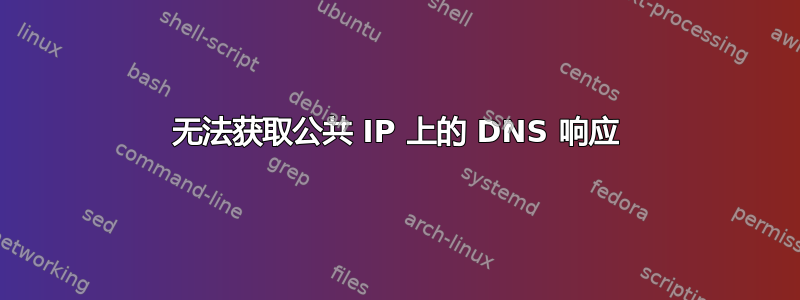 无法获取公共 IP 上的 DNS 响应