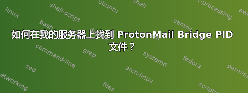 如何在我的服务器上找到 ProtonMail Bridge PID 文件？