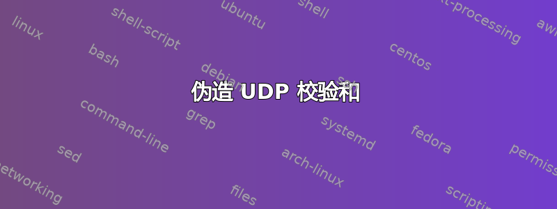 伪造 UDP 校验和