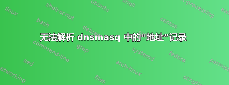 无法解析 dnsmasq 中的“地址”记录