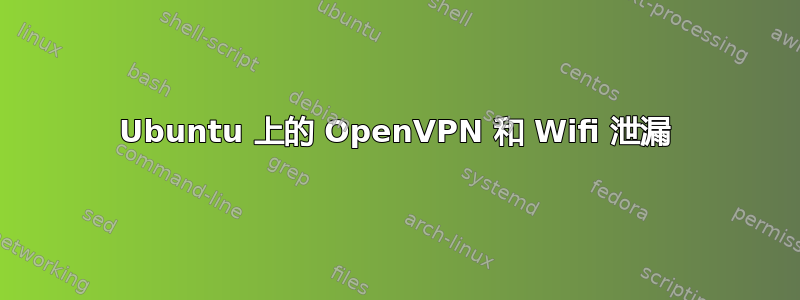 Ubuntu 上的 OpenVPN 和 Wifi 泄漏