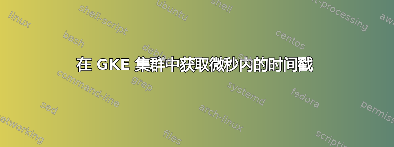 在 GKE 集群中获取微秒内的时间戳