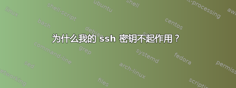 为什么我的 ssh 密钥不起作用？