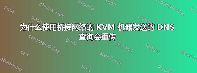 为什么使用桥接网络的 KVM 机器发送的 DNS 查询会重传