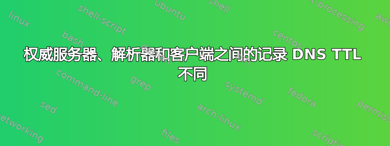 权威服务器、解析器和客户端之间的记录 DNS TTL 不同