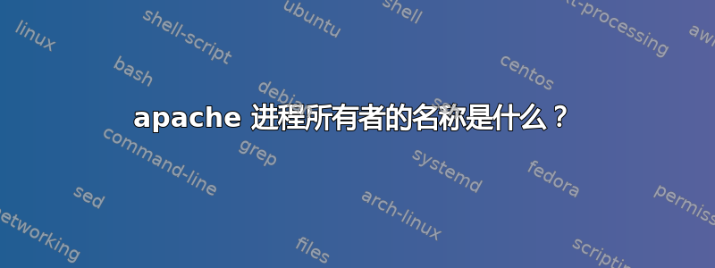 apache 进程所有者的名称是什么？