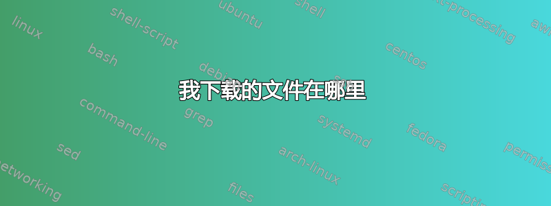 我下载的文件在哪里