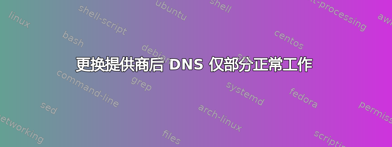 更换提供商后 DNS 仅部分正常工作