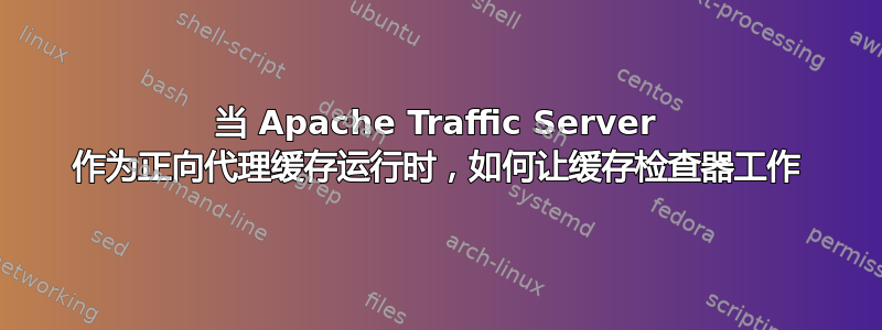 当 Apache Traffic Server 作为正向代理缓存运行时，如何让缓存检查器工作