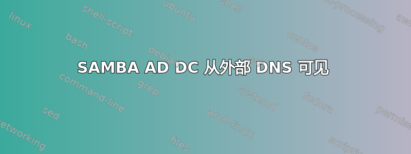 SAMBA AD DC 从外部 DNS 可见