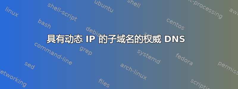 具有动态 IP 的子域名的权威 DNS 