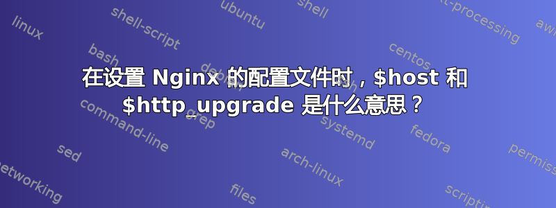 在设置 Nginx 的配置文件时，$host 和 $http_upgrade 是什么意思？