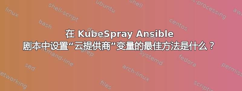 在 KubeSpray Ansible 剧本中设置“云提供商”变量的最佳方法是什么？