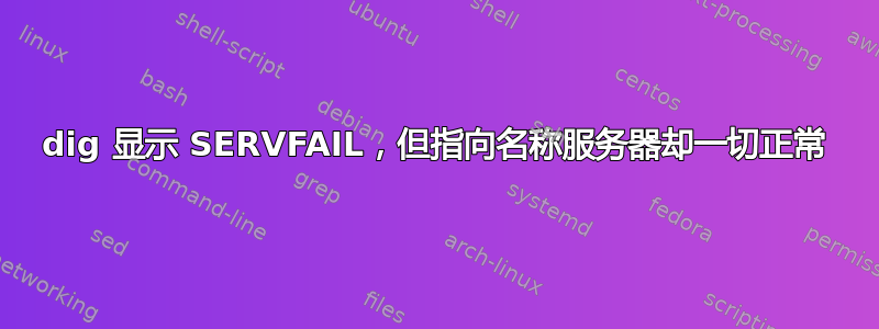 dig 显示 SERVFAIL，但指向名称服务器却一切正常