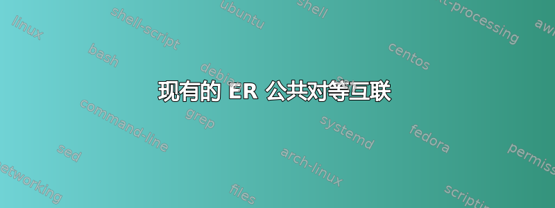 现有的 ER 公共对等互联