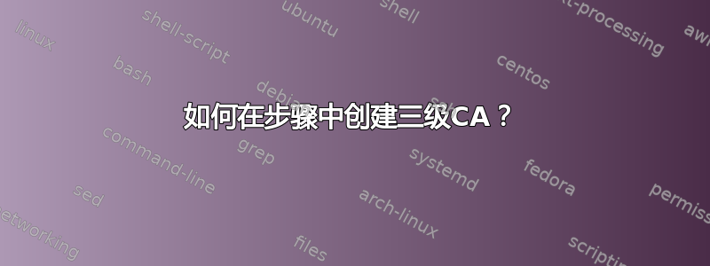 如何在步骤中创建三级CA？