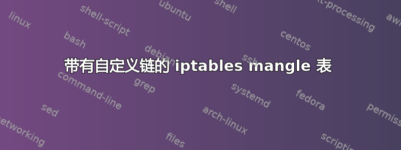 带有自定义链的 iptables mangle 表