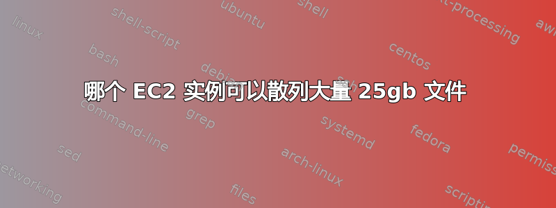 哪个 EC2 实例可以散列大量 25gb 文件