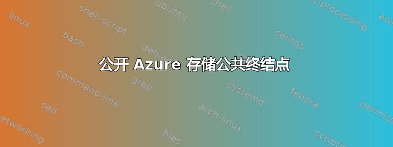 公开 Azure 存储公共终结点